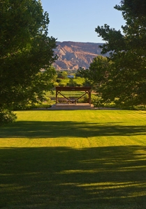 Colorado Cellars - Colorado's Oldest Winery For Sale - image 3