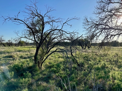 Resort Lot 659 The Hideout Golf Course at Lake Brownwood, TX - image 28