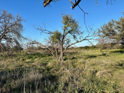 Resort Lot 659 The Hideout Golf Course at Lake Brownwood, TX - image 27