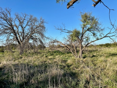 Resort Lot 659 The Hideout Golf Course at Lake Brownwood, TX - image 26