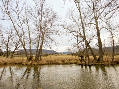 Potential Investment Property for Sale in Blacksburg VA! - image 13
