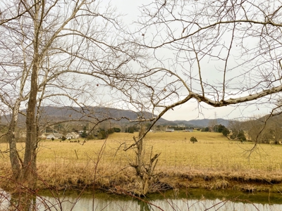 Potential Investment Property for Sale in Blacksburg VA! - image 15