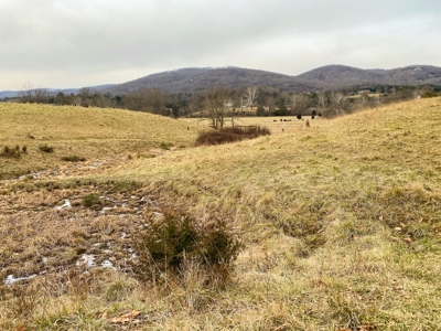 Potential Investment Property for Sale in Blacksburg VA! - image 29
