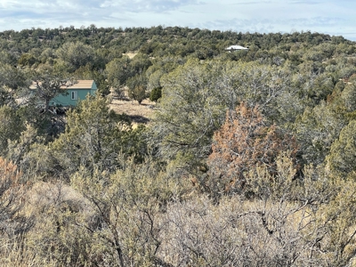 Hunters' Delight - Cabin in the Woods - Elk, Deer, Antelope - image 2
