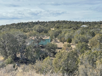 Hunters' Delight - Cabin in the Woods - Elk, Deer, Antelope - image 7