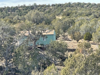 Hunters' Delight - Cabin in the Woods - Elk, Deer, Antelope - image 6