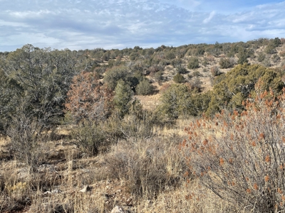Hunters' Delight - Cabin in the Woods - Elk, Deer, Antelope - image 8