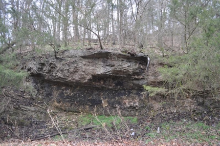 Waterfront Ranch In Northwest Arkansas-325Ac - image 16