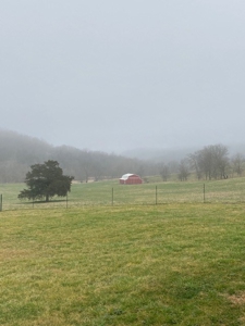 Waterfront Ranch In Northwest Arkansas-325Ac - image 5