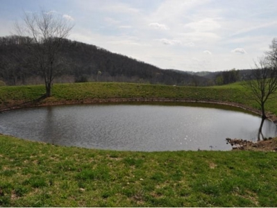 Waterfront Ranch In Northwest Arkansas-325Ac - image 8