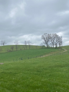 Waterfront Ranch In Northwest Arkansas-325Ac - image 32