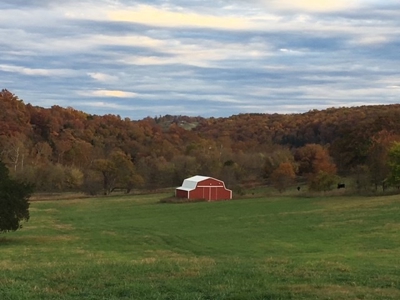 Waterfront Ranch In Northwest Arkansas-325Ac - image 2