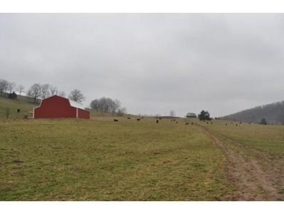 Waterfront Ranch In Northwest Arkansas-325Ac - image 9