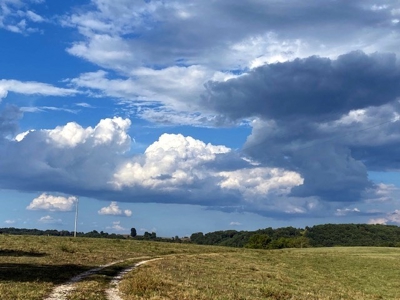 Waterfront Ranch In Northwest Arkansas-325Ac - image 30