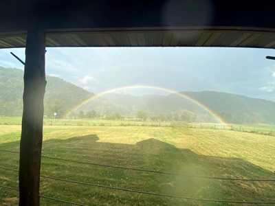 Waterfront Ranch In Northwest Arkansas-325Ac - image 31