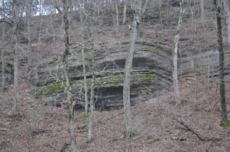 Waterfront Ranch In Northwest Arkansas-325Ac - image 17