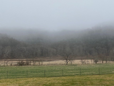 Waterfront Ranch In Northwest Arkansas-325Ac - image 4