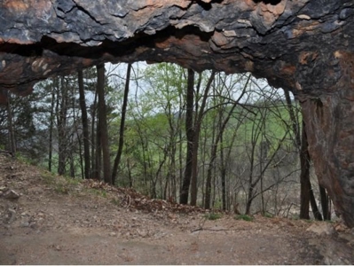 Waterfront Ranch In Northwest Arkansas-325Ac - image 13