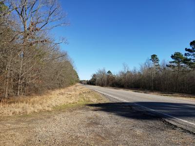 Kiamichi Mountain Recreational Property - National Forest - image 3