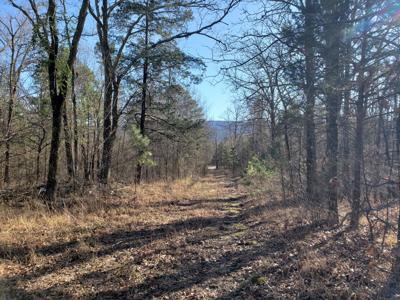 Kiamichi Mountain Recreational Property - National Forest - image 9