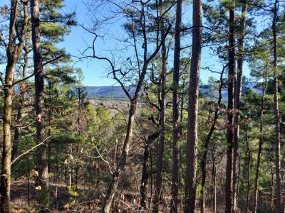 Kiamichi Mountain Recreational Property - National Forest - image 15