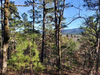 Kiamichi Mountain Recreational Property - National Forest - image 13