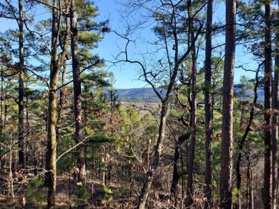 Kiamichi Mountain Recreational Property - National Forest - image 14