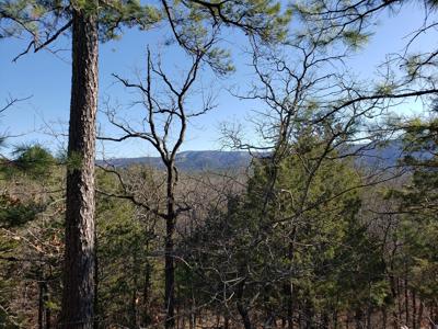 Kiamichi Mountain Recreational Property - National Forest - image 6