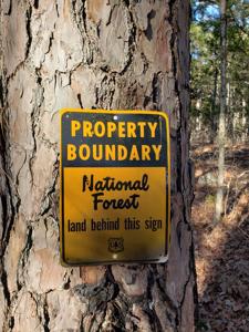 Kiamichi Mountain Recreational Property - National Forest - image 5