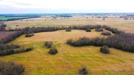 Ranch Land For Sale Clarksville Texas Red River County - image 4