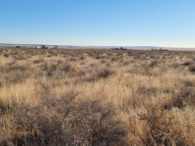 40.87 Acres of Land For Sale - Residential Development - image 3