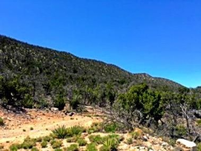 11 Acres in Deer Canyon Preserve For Sale - Torrance County - image 4