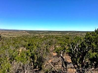 11 Acres in Deer Canyon Preserve For Sale - Torrance County - image 2