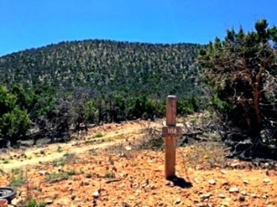 11 Acres in Deer Canyon Preserve For Sale - Torrance County - image 3