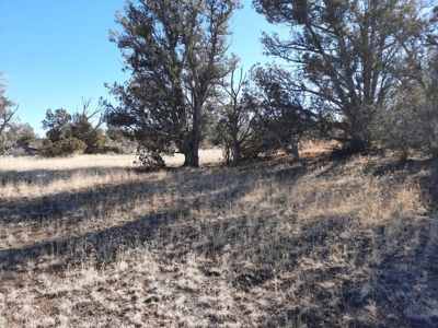 Beautiful Property - image 1