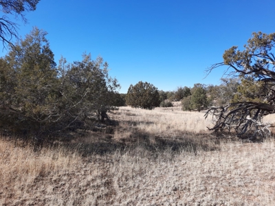 Beautiful Property - image 8