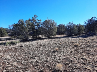 Beautiful Property - image 13