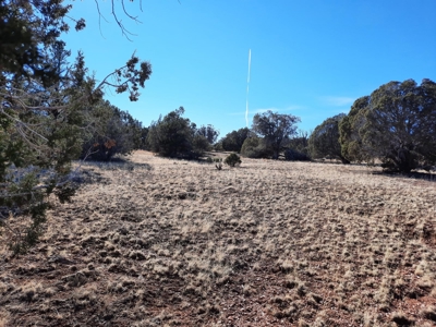 Beautiful Property - image 11