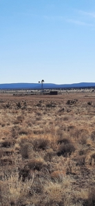 Hear The Wistle Blowing - image 6