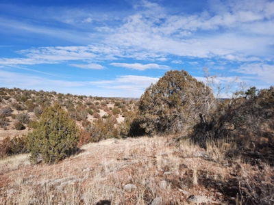 A View From The Top - image 8