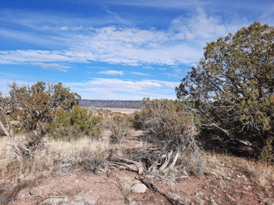 A View From The Top - image 5