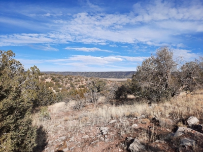 A View From The Top - image 6