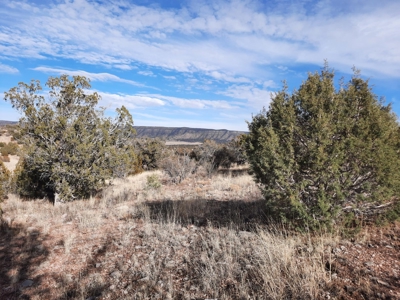 A View From The Top - image 7