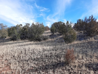 A View From The Top - image 10
