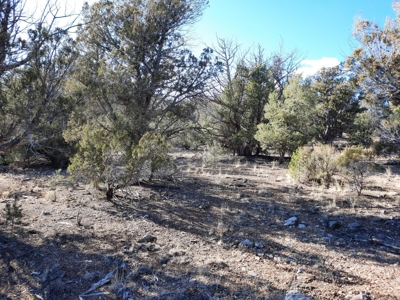 Beautiful Property - image 6