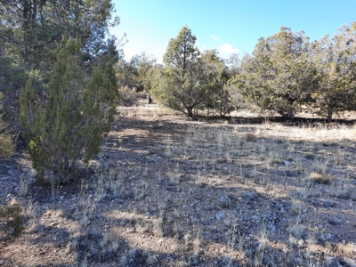 Beautiful Property - image 1