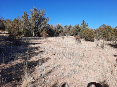 Beautiful Property - image 10