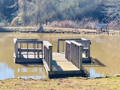 Country Home On 20 Acres For Sale In Poteau Oklahoma - image 35