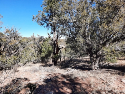 Remote 16.7 off grid acres backs state land - image 15