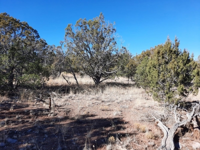 Remote 16.7 off grid acres backs state land - image 9